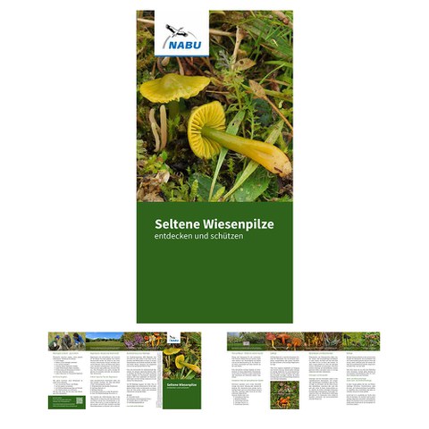 Faltblatt des NABU zu Wiesenpilzen