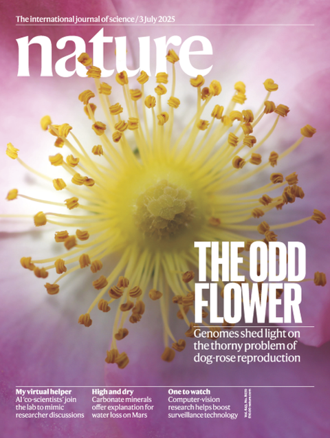 Titelseite der Fachzeitschrift Nature mit dem Bild einer Herbstrose