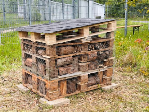 insect hotel