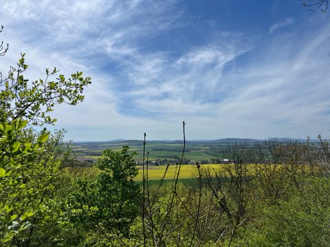 Photo from the excursion to Landeskrone