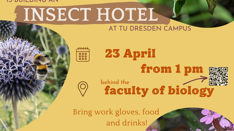 Eine Werbung für das von der Arbeitsgruppe Biodiversität geplante Insektenhotelprojekt