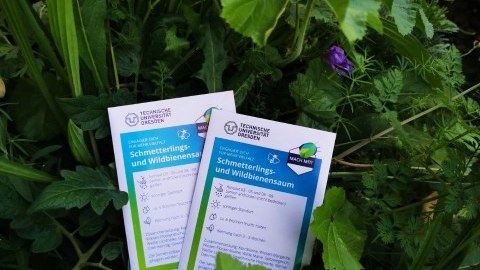 Seed bag project of the Working Group Biodiversity 