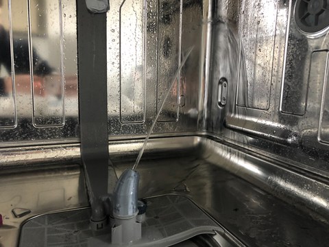 Splash