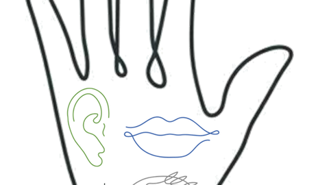 multisensory