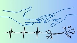 neuro_physio_AT