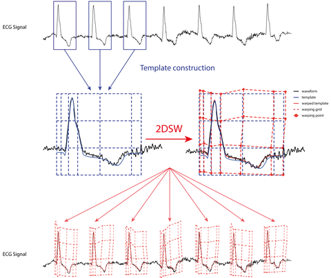 Concept of Two-Dimensional Signal Warping (2DSW; details at http://2dsw.com/)