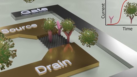 Schematische Darstellung des Konstruktionsprinzips eines Sensors zum Direktnachweis von SARS-CoV-2-Viren