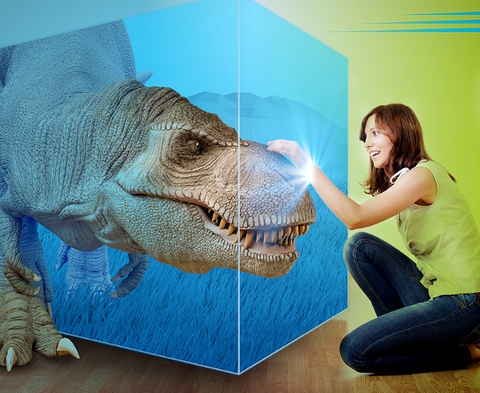 t2_4DDisplay