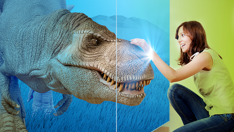 t2_4DDisplay