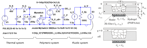 thermisch-rheologisch-fluidisches Netzwerkmodell 