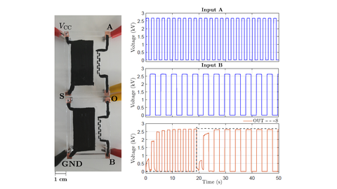 TU Dresden