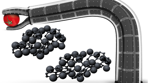 Soft Robotic Vision