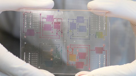 Chemofluidischer Chip