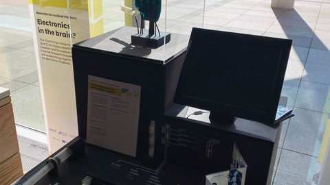 cosmo Ausstellung