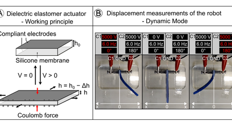 Dielektrische Elastomeraktoren (DEAs)_Markus Franke 