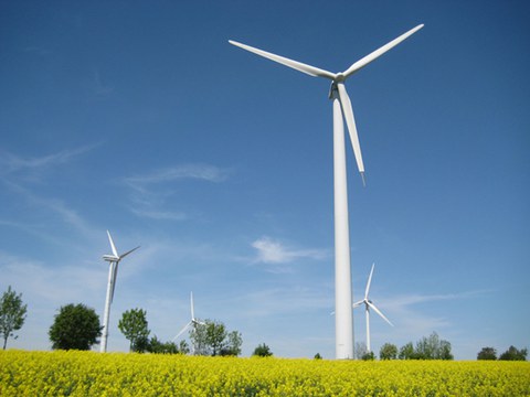 Windräder, die in einem Rapsfeld stehen