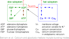 Cell model (chemical)