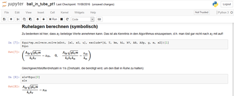 Screenshot Jupyter Notebook
