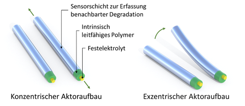 Konzentrischer und exzentrischer Aktoraufbau