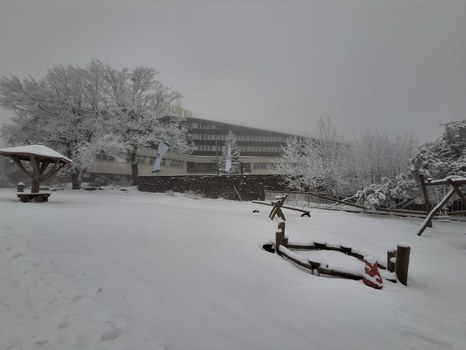 Hotel Lugsteinhof