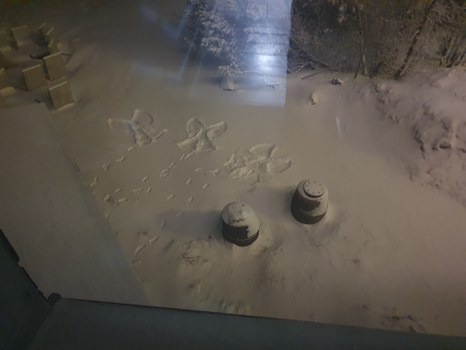 Abdrücke im Schnee