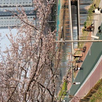 Grimm_Korea_Bild