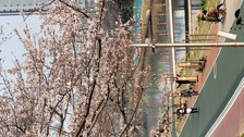 Grimm_Korea_Bild