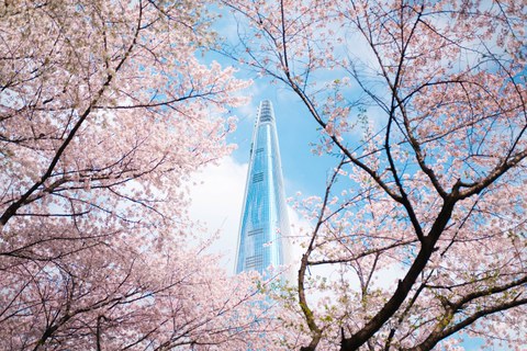Seoul_2-8275-3.jpg