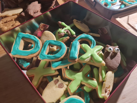 glasierte Kekse in einer Schale - als DDIX gelegt