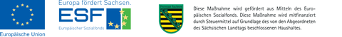 Logo des Europäischen Sozialfonds