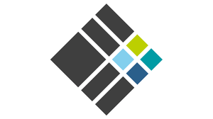 DDRG Logo 16zu4