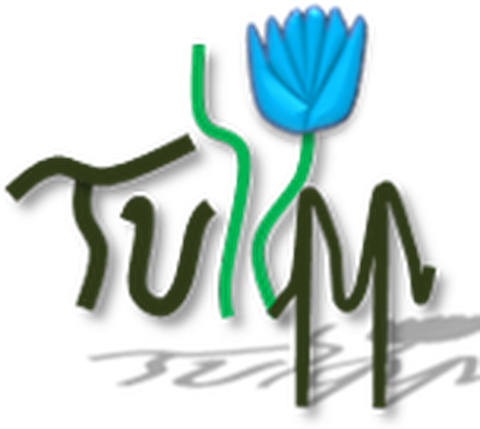 tulipp