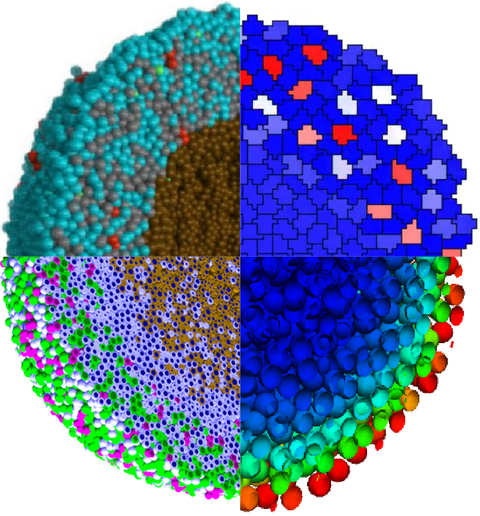 Computational Morphogenesis