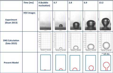 The figure shows the comparison between model predictions and experimental data for the process of steam bubble nucleation at a heater wall. 