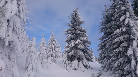 Impression2
