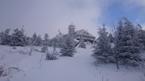 Impression3