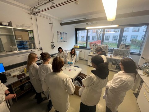 ProTechnicale2