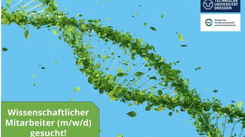 Poster zur Ausschreibung der Stelle als Wiss. MA. Abbildung zeigt eine Doppelhelix, gefertigt aus grünen Blättern, auf blauem Grund.