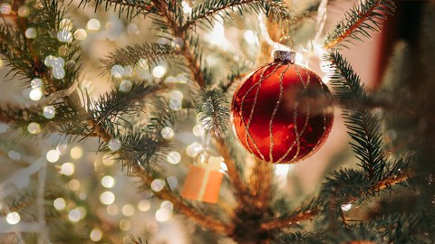 Weihnachtsmotiv mit Apfel, Orangenscheiben, Nüssen und Tannenzweigen auf verschneitem Grund.