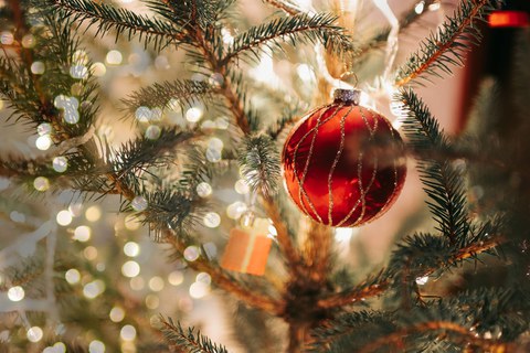 Weihnachtsmotiv mit Apfel, Orangenscheiben, Nüssen und Tannenzweigen auf verschneitem Grund.
