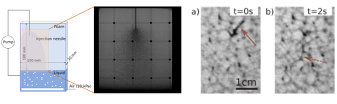 Neutron Radiography results