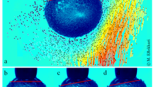 The response of particle covered bubble to asymmetric shear flow. The particle layer tilts from state (b) to (c); as the flow continues, the particle layer keeps the same tilt but rotates steadily around the vertical axis from (c) to (d).