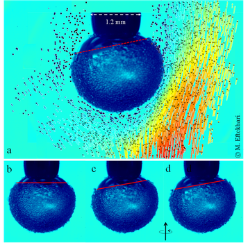 The response of particle covered bubble to asymmetric shear flow. The particle layer tilts from state (b) to (c); as the flow continues, the particle layer keeps the same tilt but rotates steadily around the vertical axis from (c) to (d).