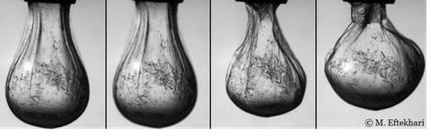 Wrinkles formed at the interface of water-silicone oil due to the irreversible adsorption of nanoparticles at the interface. Arrested PS particles of 5 micron size can be seen as black dots. 