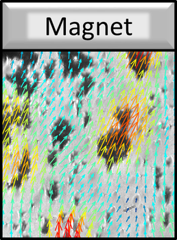 Migration of formed hetero-agglomerates in magnetic field