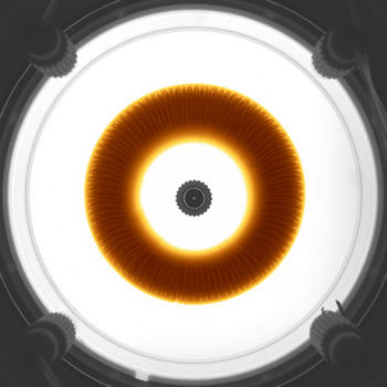Buoyant-instability patterns during a chemical reaction front 