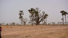 Senegal-Aufenthalt von Dipl.-Ing. Christian Hild