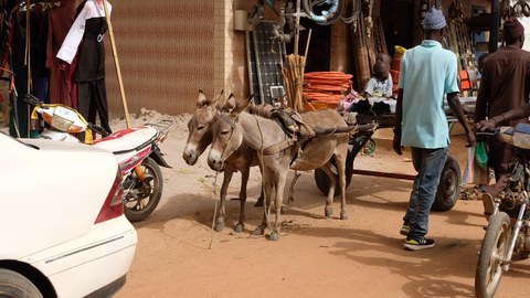 Senegal-Aufenthalt von Dipl.-Ing. Christian Hild