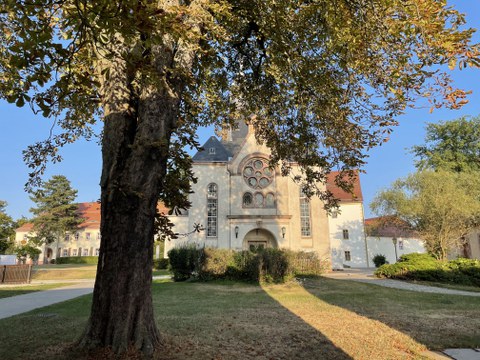 Picture of a chruch, at the front: a tree.