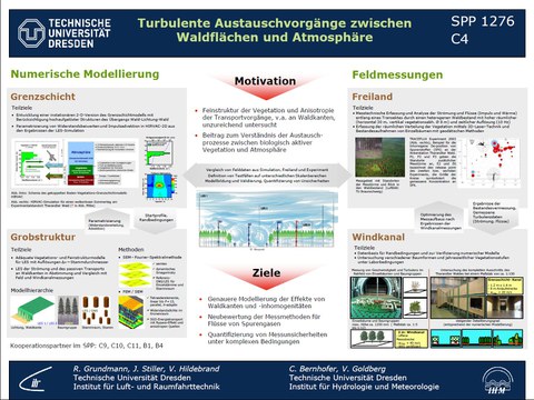 Poster zum DFG-Schwerpunktprogramm 1276, Teilprojekt C4 (downloadlink darunter)